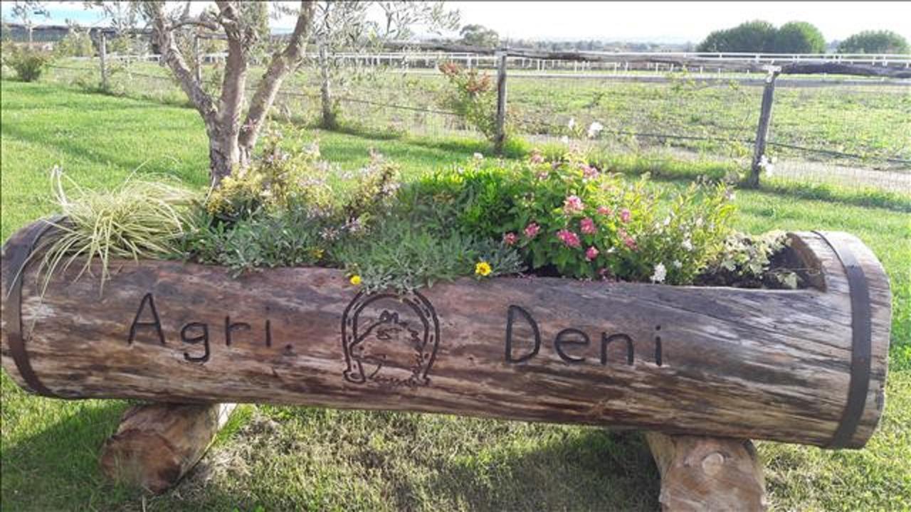 Agriturismo Deni Leilighet Cenaia Eksteriør bilde
